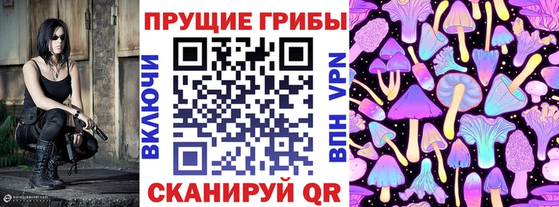 omg ссылки  Моршанск  Псилоцибиновые грибы мухоморы 